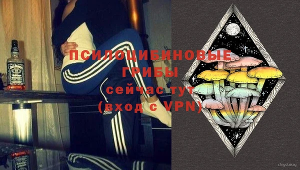 MDMA Богородицк