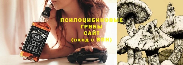 MDMA Богородицк